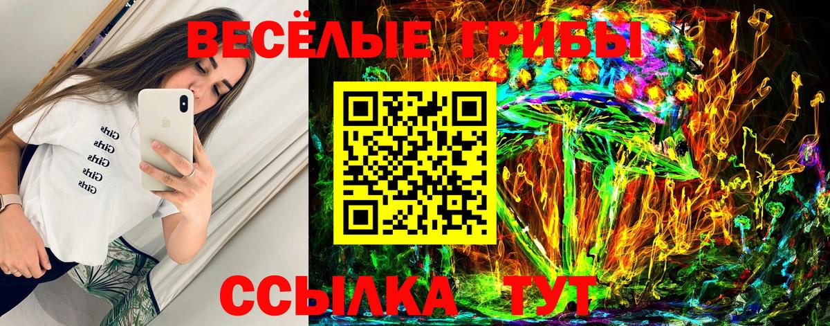 Псилоцибиновые грибы ЛСД  Вход с VPN  Алейск  Галлюциногенные грибы Psilocybine cubensis 